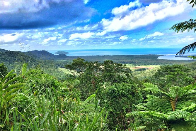 Private Cape Tribulation & Mossman Gorge Day Tour - Key points to know before booking