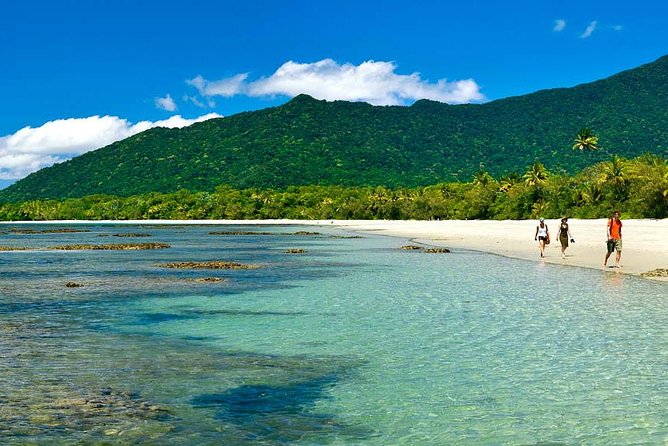 Private Cape Tribulation & Mossman Gorge Day Tour - Lunch at Julaymba Restaurant in the Daintree