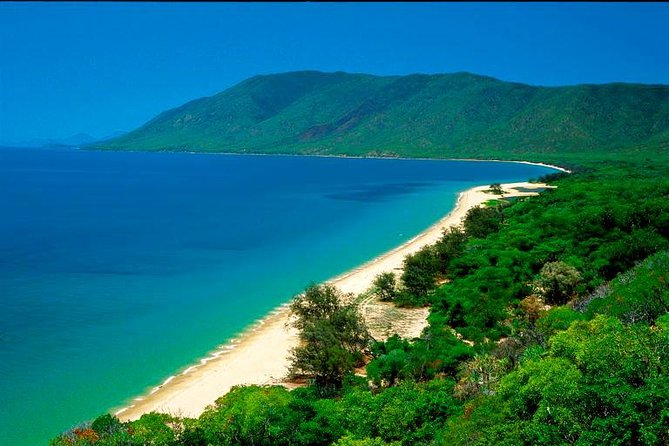 Private Cape Tribulation & Mossman Gorge Day Tour - What the guides add to the day