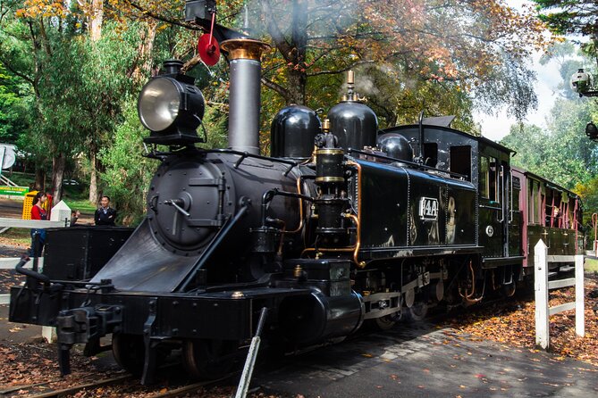 Puffing Billy And Healesville Sanctuary Scenic Tour - Emerald Lake is the day’s quiet pause
