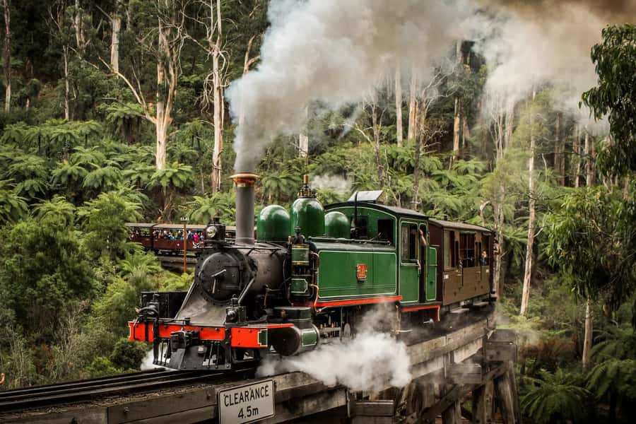 Puffing Billy Penguin Parade Winery Chocolaterie All-in-One - Why this Melbourne day tour packs in so much