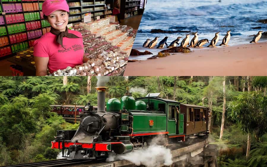 Puffing Billy Penguin Parade Winery Chocolaterie All-in-One - Tasting cool-climate wine at Rochford Wines