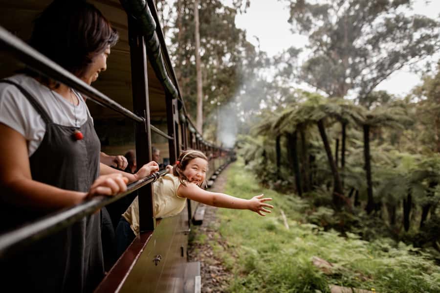 Puffing Billy Railway: Heritage Steam Train Journey - Why Puffing Billy still feels special