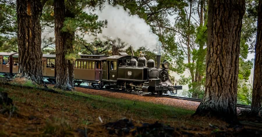 Puffing Billy Railway: Heritage Steam Train Journey - The famous legs-out carriage tradition