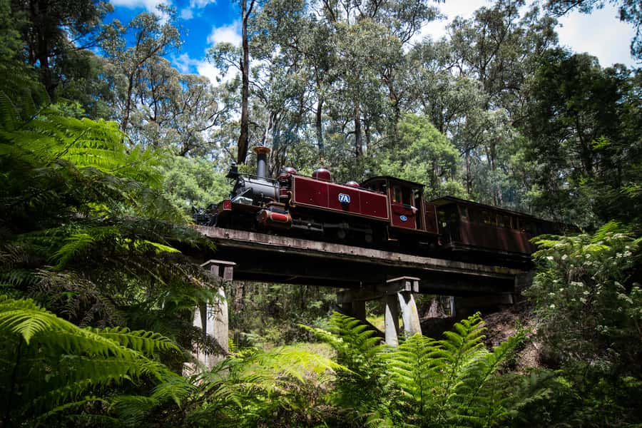 Puffing Billy Railway: Heritage Steam Train Journey - The longer route toward Gembrook