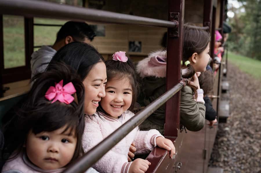 Puffing Billy Railway: Heritage Steam Train Journey - How the $29 price holds up