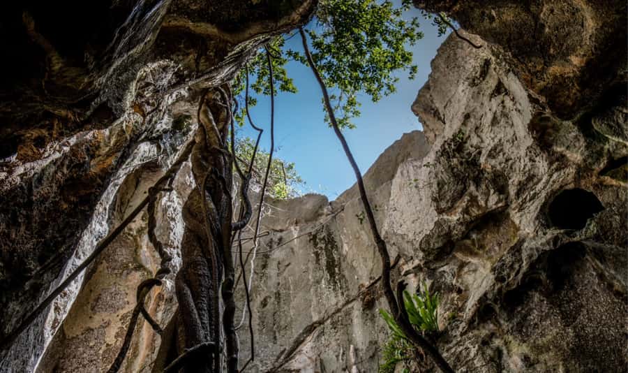 Queensland: 90 Minute Capricorn Caves Explorer Tour - Key points at a glance