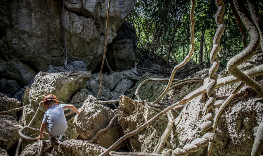 Queensland: 90 Minute Capricorn Caves Explorer Tour - Why this cave tour is worth your time