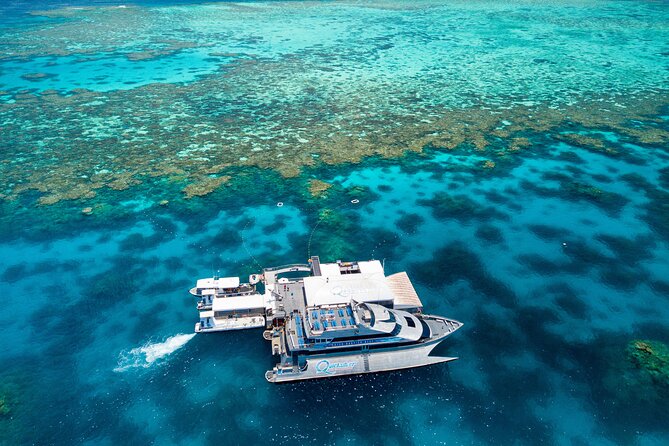 Quicksilver Great Barrier Reef Snorkel Cruise from Port Douglas - Why Agincourt Reef makes this an appealing day out