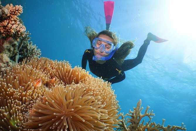 Quicksilver Great Barrier Reef Snorkel Cruise from Port Douglas - How the crew handles safety and beginners