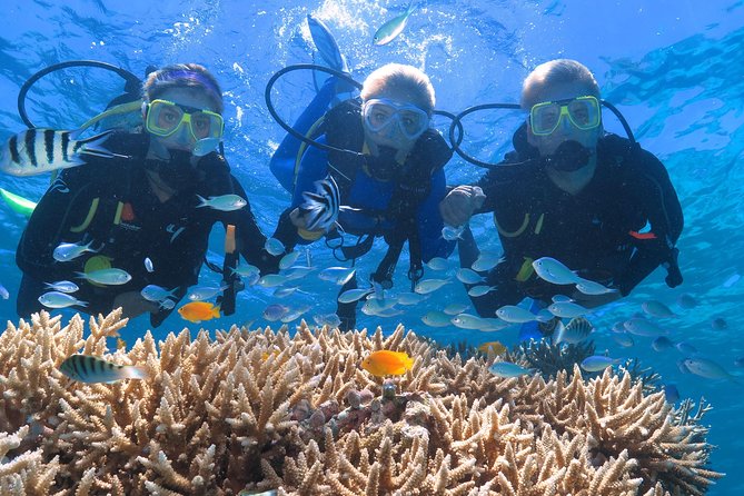 Quicksilver Great Barrier Reef Snorkel Cruise from Port Douglas - Crowds, weather, and the best way to plan your day