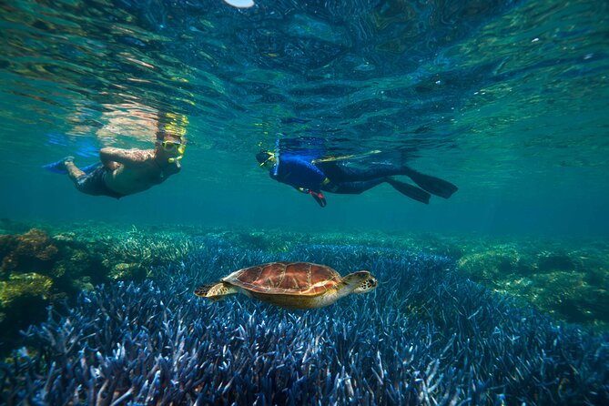 Quicksilver Great Barrier Reef Snorkel Cruise from Port Douglas - The 90-minute catamaran ride from Port Douglas