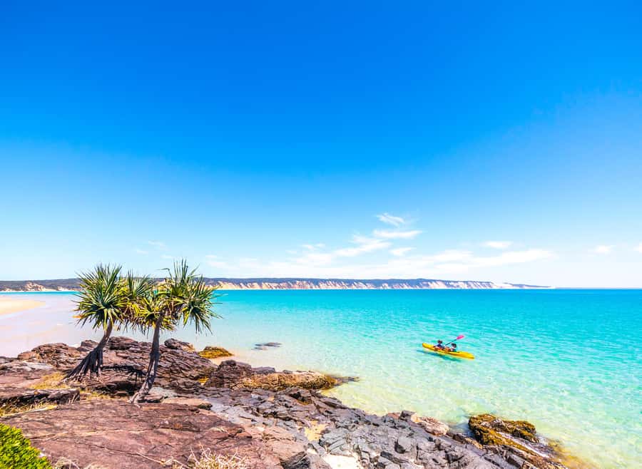 Rainbow Beach: Kayaking with Dolphins and Beach 4WD Tour - Who will enjoy this Rainbow Beach tour