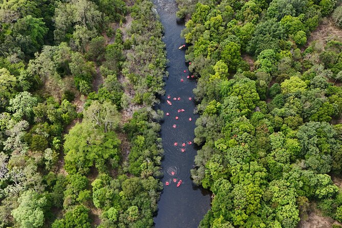 Rainforest River Tubing from Cairns - Key points to know before you book