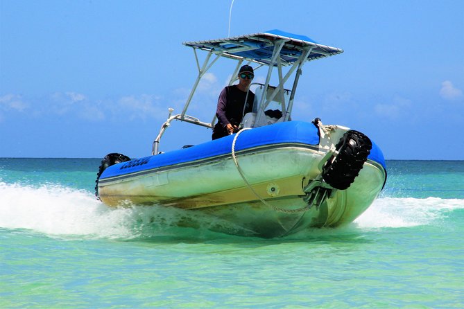 Remote Fraser Island Experience - Whale watching from mid-July through October