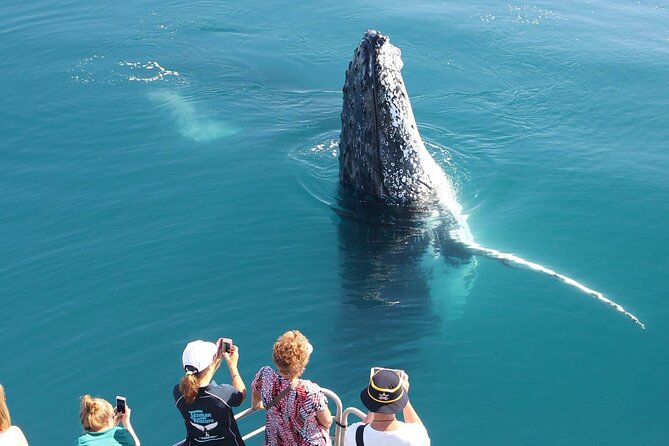 Remote K'gari (Fraser Island) & Whale Experience - Lunch, snacks, and drinks on board