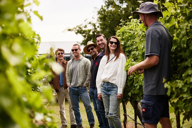 Richmond and Wine Tour - Puddleduck Wines brings wine and lunch together