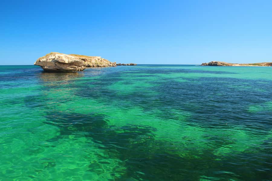 Rockingham: 3 Island Wildlife Snorkeling Cruise with Lunch - Wildlife watching from the boat