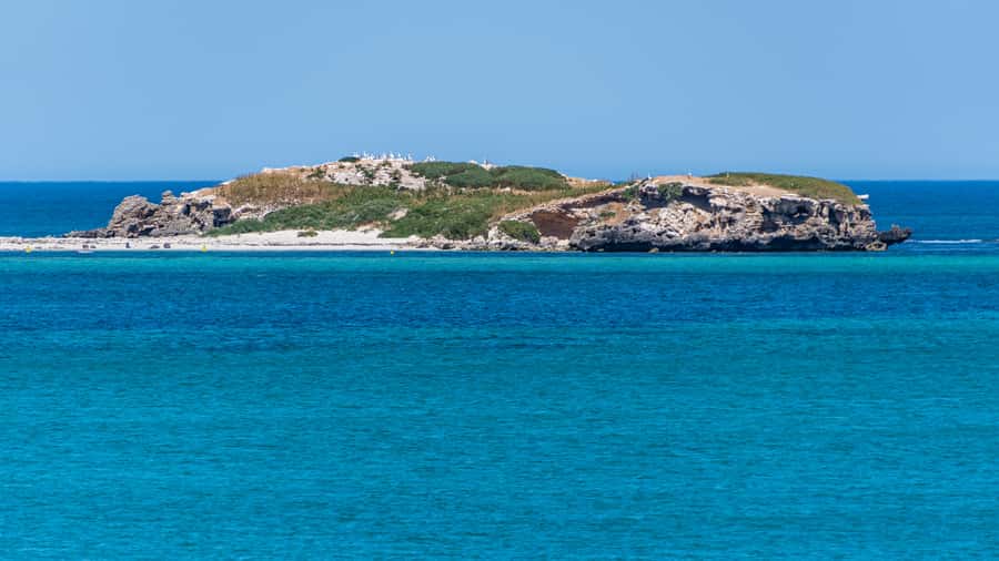 Rockingham: 3 Island Wildlife Snorkeling Cruise with Lunch - Lunch on the upper deck