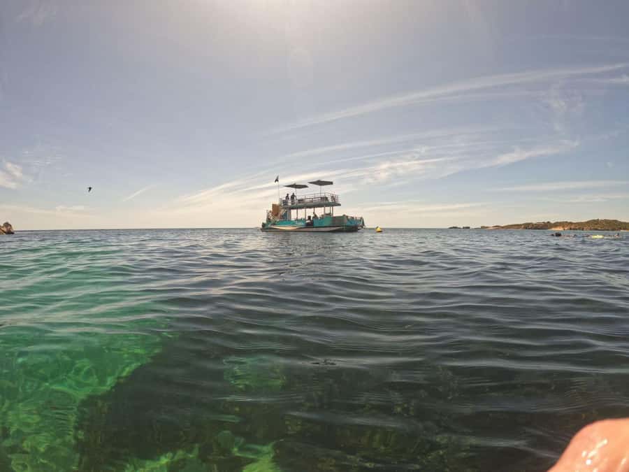Rockingham: 3 Island Wildlife Snorkeling Cruise with Lunch - Is $164 a fair price?