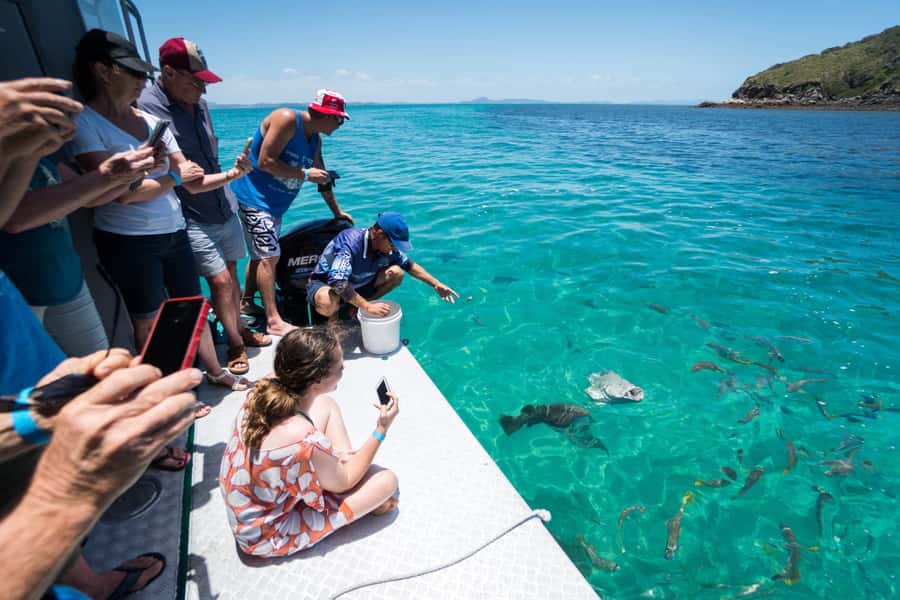 Rosslyn: Great Keppel Island Glass Bottom Boat Tour - From Pier One to Great Keppel Island
