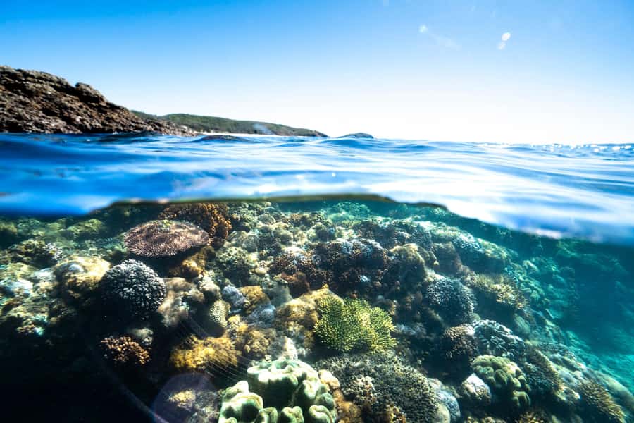 Rosslyn: Great Keppel Island Glass Bottom Boat Tour - Who will enjoy this day most?