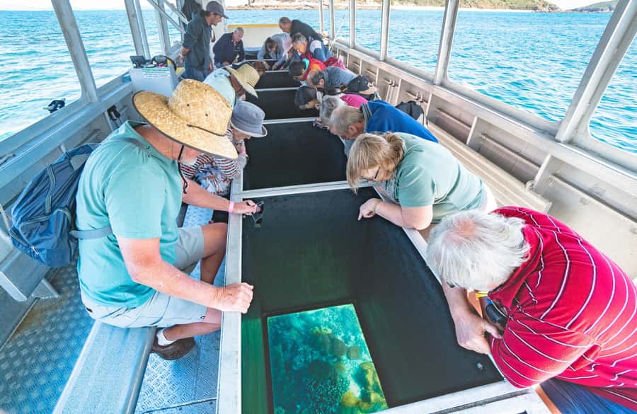 Rosslyn: Great Keppel Island Glass Bottom Boat Tour - Fisherman’s Beach and the one-hour glass bottom cruise