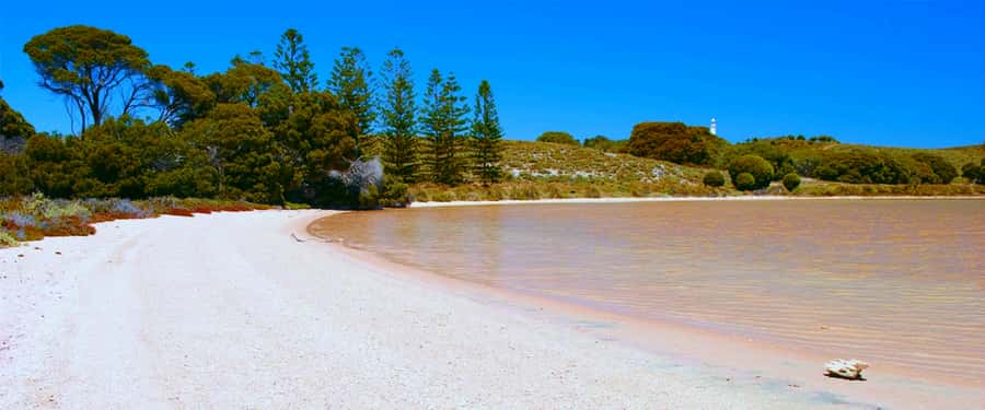 Rottnest Grand Island Package with Ferry, Tour & Light Lunch - Finding the Settlement Train Station