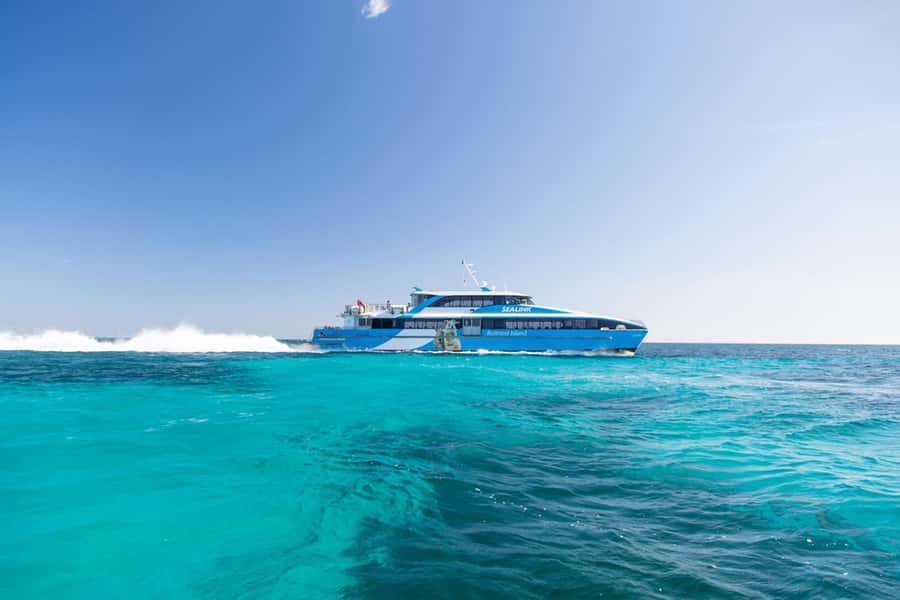Rottnest Grand Island Package with Ferry, Tour & Light Lunch - The sandwich lunch and a short reset