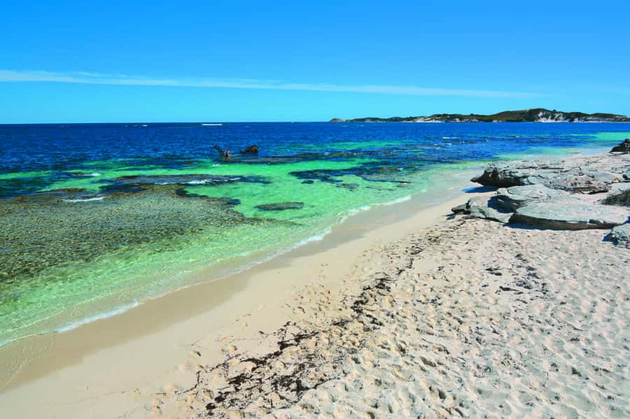 Rottnest Grand Island Package with Ferry, Tour & Light Lunch - Quokkas, beaches, and the limits of a grand tour