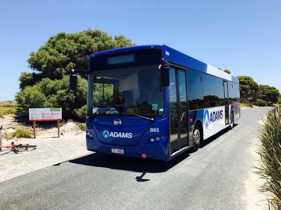 Rottnest Grand Island Package with Ferry, Tour & Light Lunch - The ferry from Perth or Fremantle