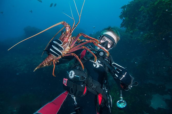 Rottnest Island Deep Dive Day Trips - Key points for your Rottnest day