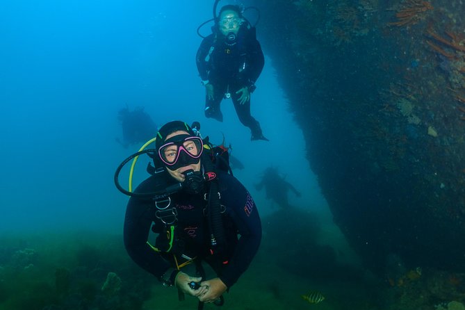 Rottnest Island Deep Dive Day Trips - Is the $186.48 price good value?