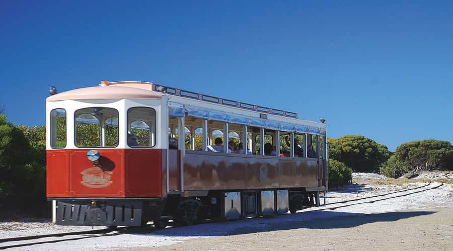 Rottnest Island: Grand Bus and Train Tour with Lunch - Key points at a glance