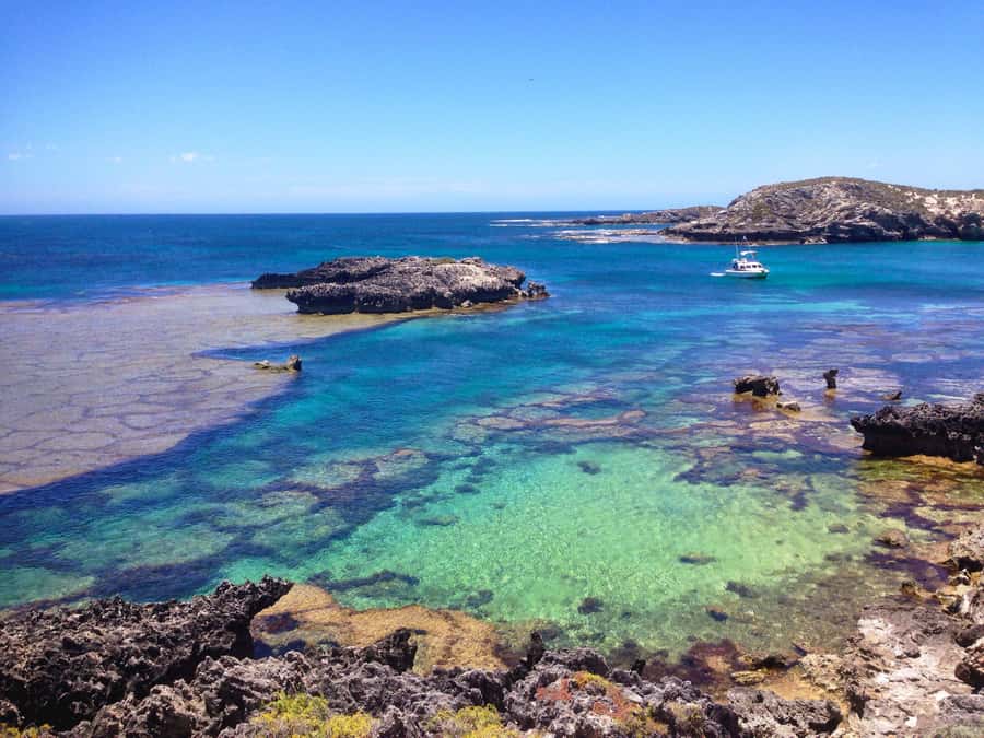 Rottnest Island Segway 1-Hour Settlement Tour - Who will enjoy this Rottnest experience?