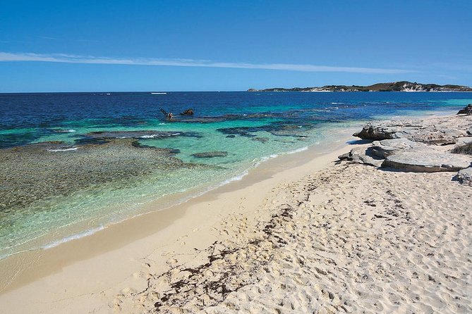 Rottnest Island: Tandem Skydive - Price, photos, and the real value