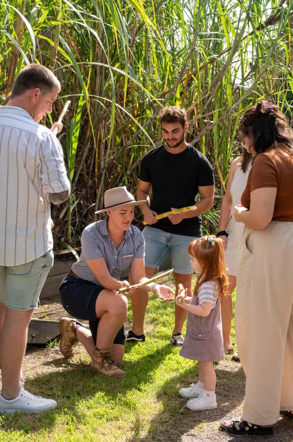 Sarina: Guided Tour of the Sarina Sugar Shed with Tasting - Key points at a glance