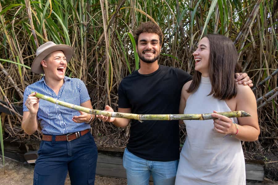 Sarina: Guided Tour of the Sarina Sugar Shed with Tasting - What the one-hour format means for your day