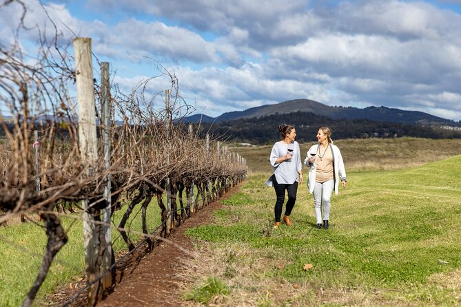Scenic Hunter Valley Tour with Wine and Cheese Tastings - Leaving Sydney at 7:00 am