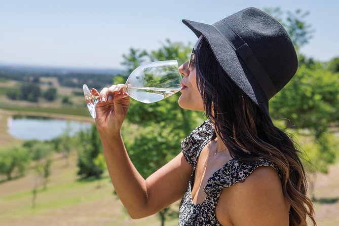 Scenic Hunter Valley Tour with Wine and Cheese Tastings - How the $168.55 price measures up