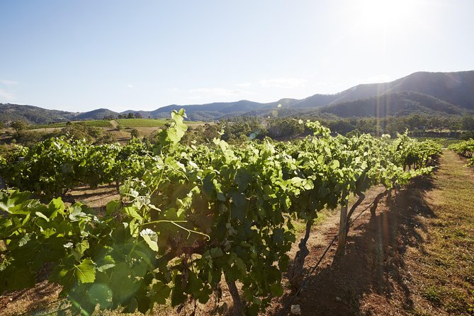 Scenic Hunter Valley Tour with Wine and Cheese Tastings - The road-time question