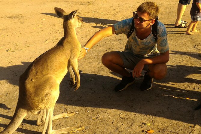 Scooter Wildlife & Sunset Tour - Beaches, open views, and the sunset hour