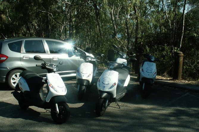 Scooter Wildlife & Sunset Tour - Who will enjoy this ride most