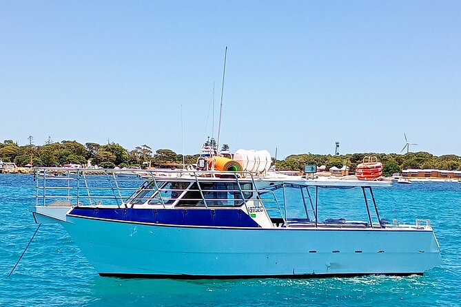 Scuba Dive The Beautiful Rottnest Island for Certified divers - The break between sessions is part of the value