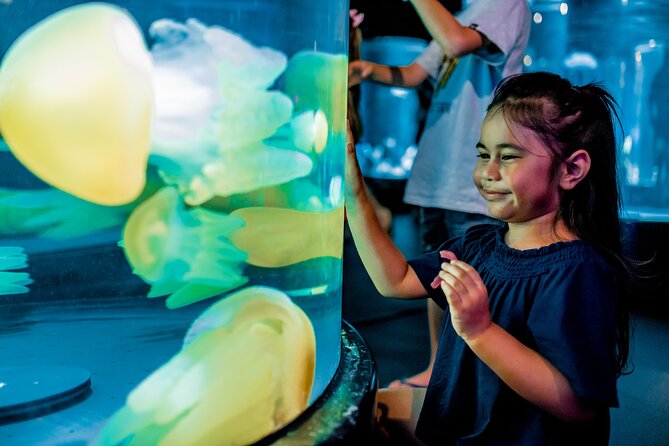 SEA LIFE Sydney Aquarium Entrance Ticket - Dugong Island and the story of Pig