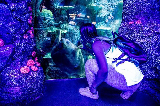 SEA LIFE Sydney Aquarium Entrance Ticket - Start with the reef and Australian habitats