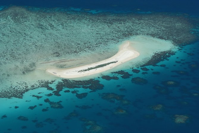 Seastar Luxury Outer Great Barrier Reef Island and Reef Tour - Key points to know before booking