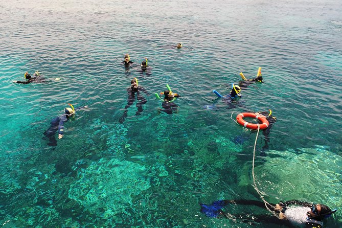 Seastar Luxury Outer Great Barrier Reef Island and Reef Tour - Leaving Cairns at 7:30 AM