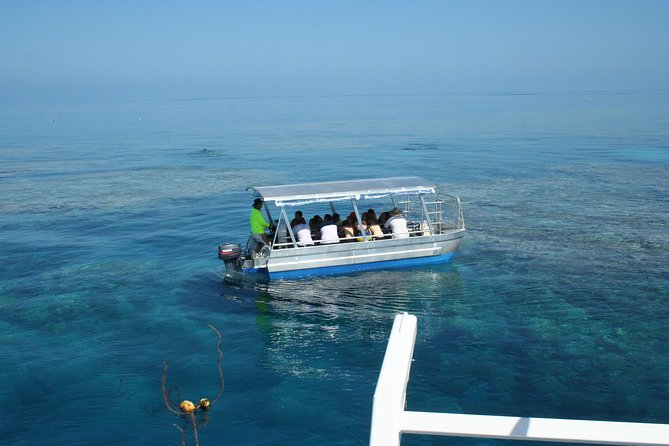 Seastar Luxury Outer Great Barrier Reef Island and Reef Tour - Hastings Reef: the stronger underwater session