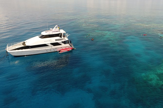 Seastar Luxury Outer Great Barrier Reef Island and Reef Tour - Equipment, flotation, and help in the water